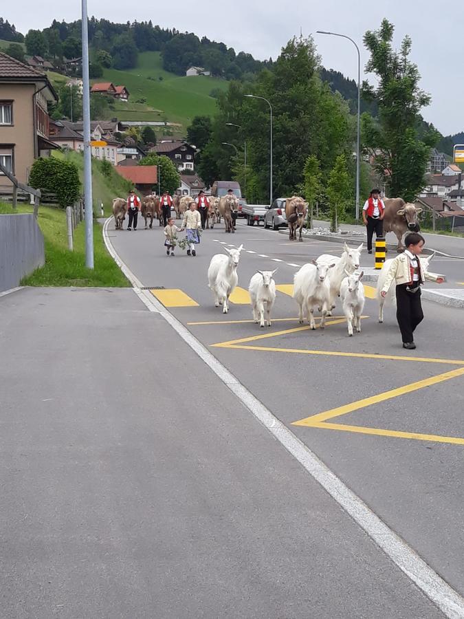 克莱因阿贝菲恩公寓 Urnäsch 外观 照片